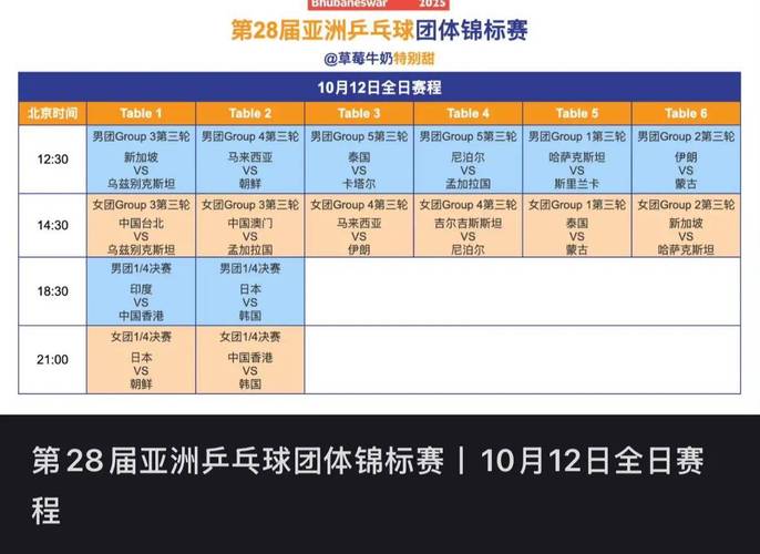 乒乓球团体赛单打出场顺序