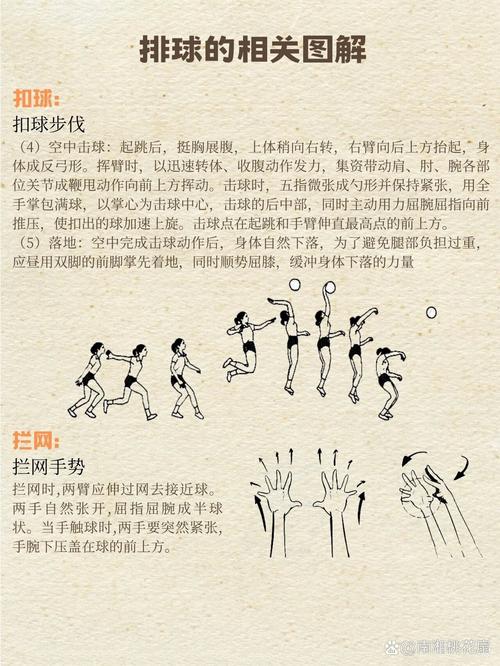 排球起源于哪一年开始的