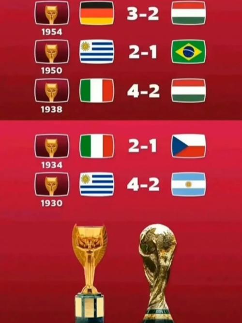 巴西世界杯比赛结果