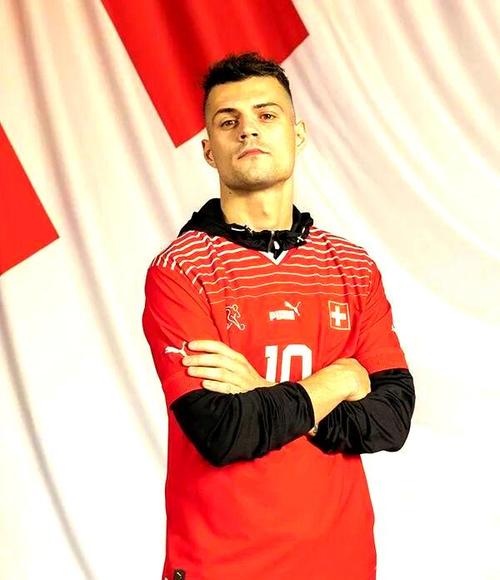 世界杯瑞士队的点评