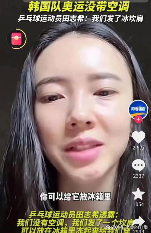 韩国乒乓球队员侮辱中国乒乓球女子