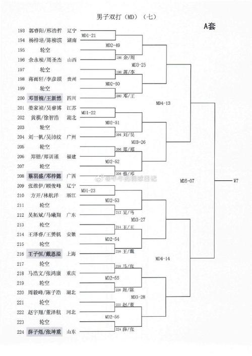 羽毛球世界冠军怎么界定