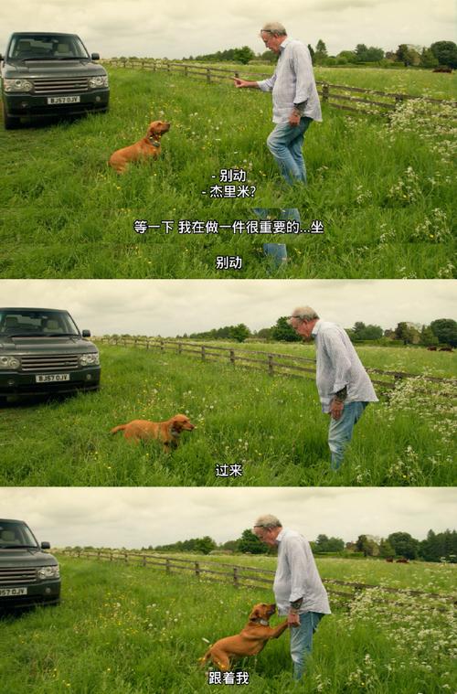 克拉克森的农场影评