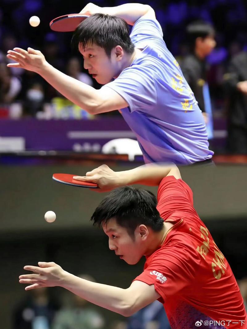 樊振东乒乓赛程