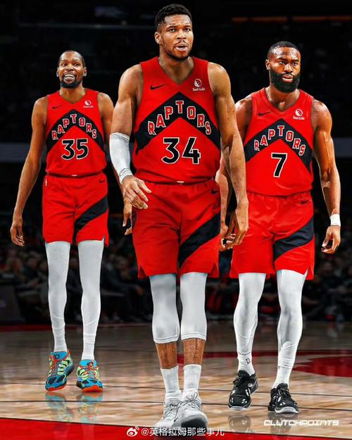 猛龙队夺冠阵容中锋有哪些