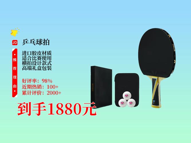 乒乓球拍最贵的牌子