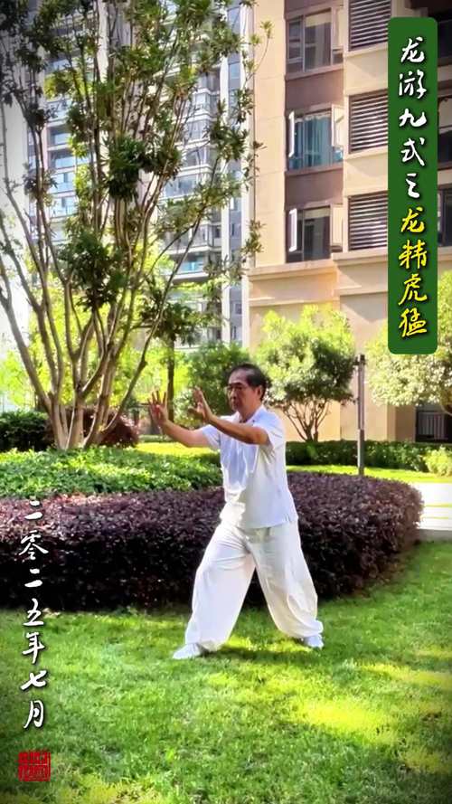 武术九段实战能力