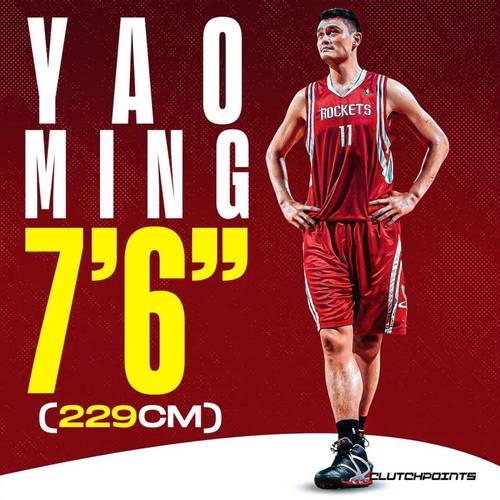 现nba身高最高的球员是谁