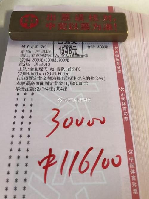 欧洲杯买100元能赢多少