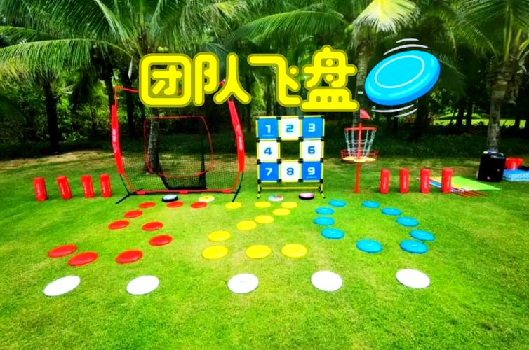 飞碟运动是什么运动啊