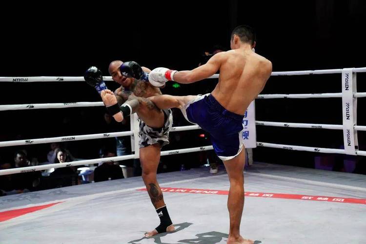 武林风张扬的比赛