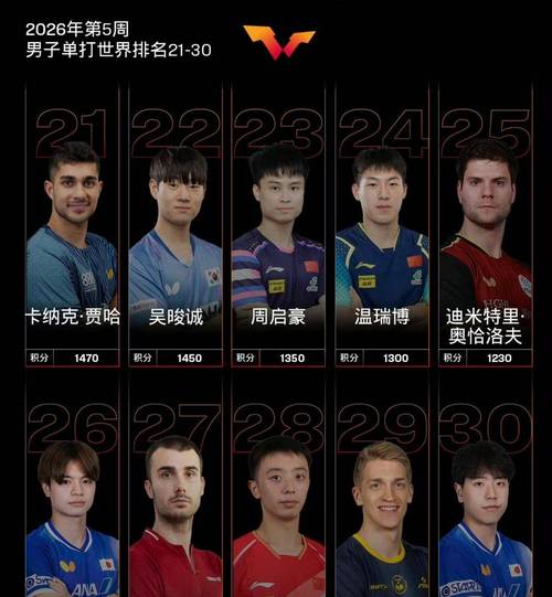 世界十大乒乓球拍排行榜最新